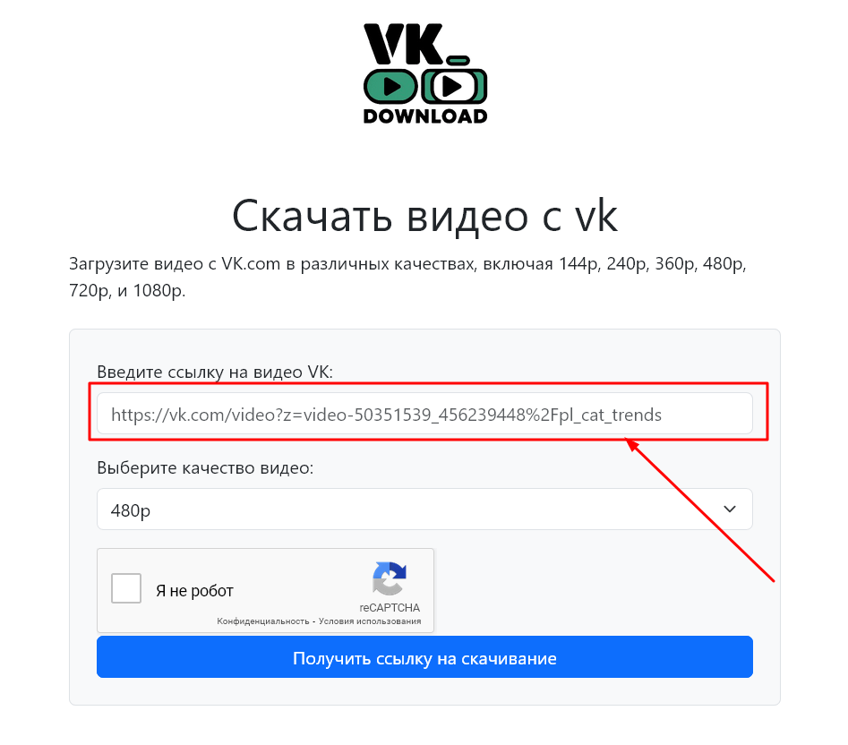 Вставляем ссылку чтобы скачать видео с vk